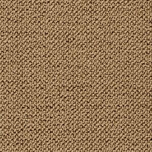 4559