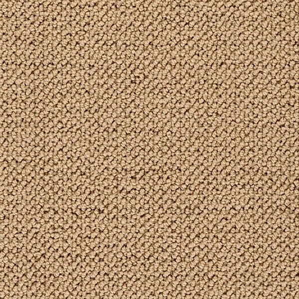 4559